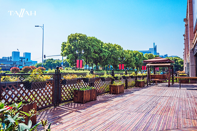 افضل جيم للسيدات في التجمع الخامس