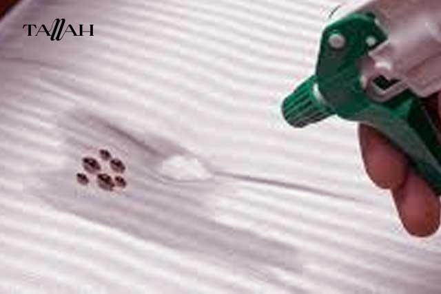 كيفية التخلص من البراغيث في المنزل