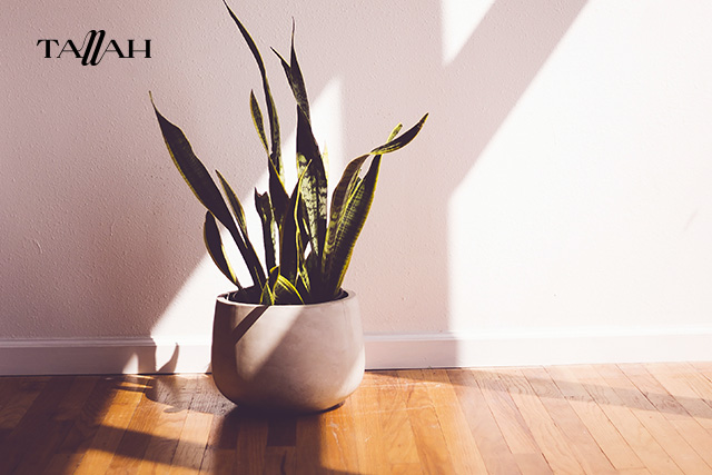 علامات الطاقة السلبية في البيت