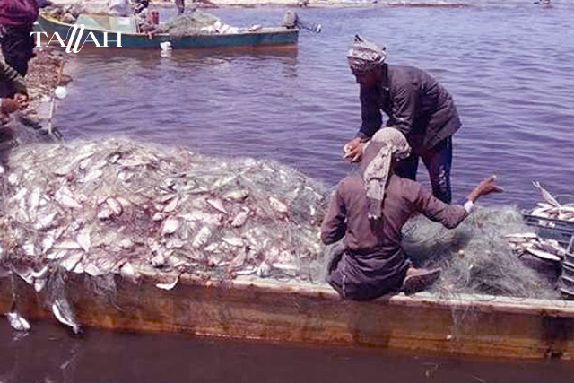 احسن أماكن الصيد في النيل