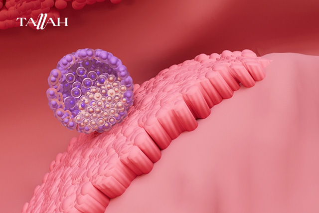 شكل دم انغراس البويضة بالصور 