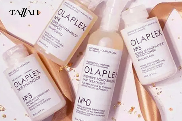 ريفيو عن مجموعة أولابكس