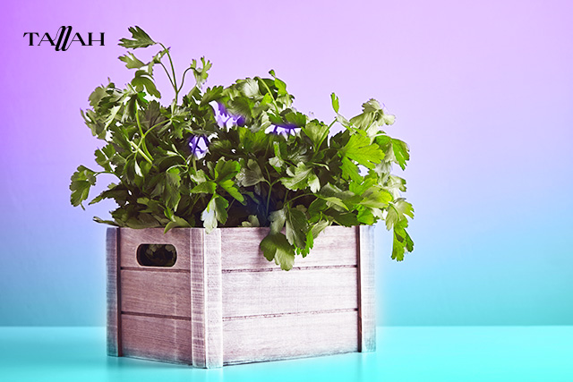 طريقة حفظ الخضرة في الثلاجة