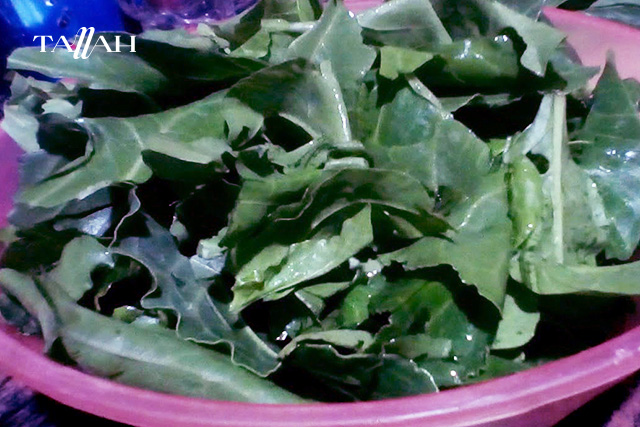 طريقة عمل السلق للقلقاس