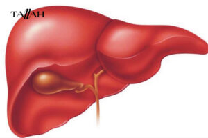 مشروب تنظيف الكبد من الدهون