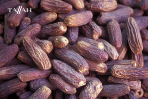 انواع البلح الناشف