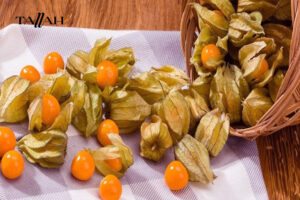 الحرنكش-والرجيم 