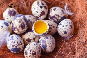 فوائد بيض السمان للاطفال