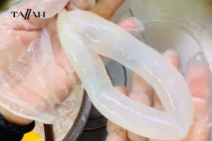 طريقة تنظيف الممبار بالزجاجة