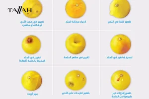 أول علامات سرطان الثدي ظهوراً بالصور