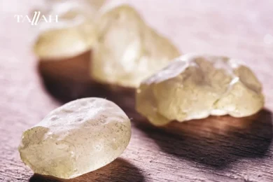 فوائد المستكة لعلاج جرثومة المعدة