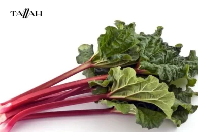 طريقة عمل مشروب الراوند المطحون