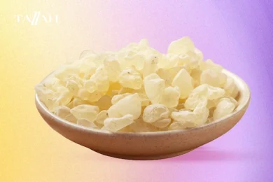 المستكة لعلاج جرثومة المعدة